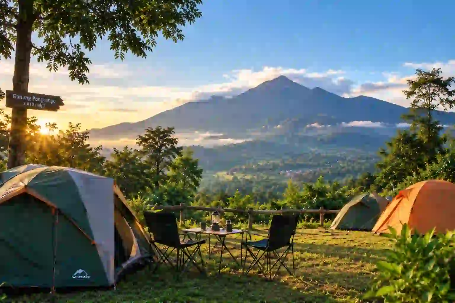 Filosofi Alam Green Forest